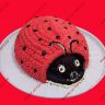 ladybug.jpg